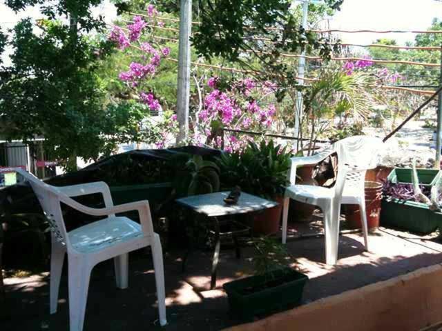 Mayan Hostel Cancun Luaran gambar