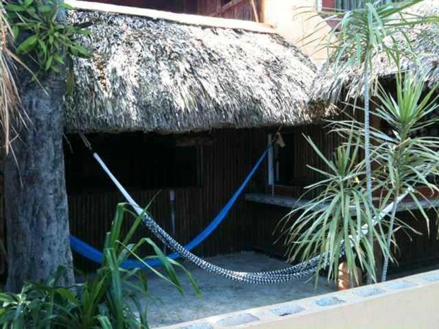 Mayan Hostel Cancun Luaran gambar