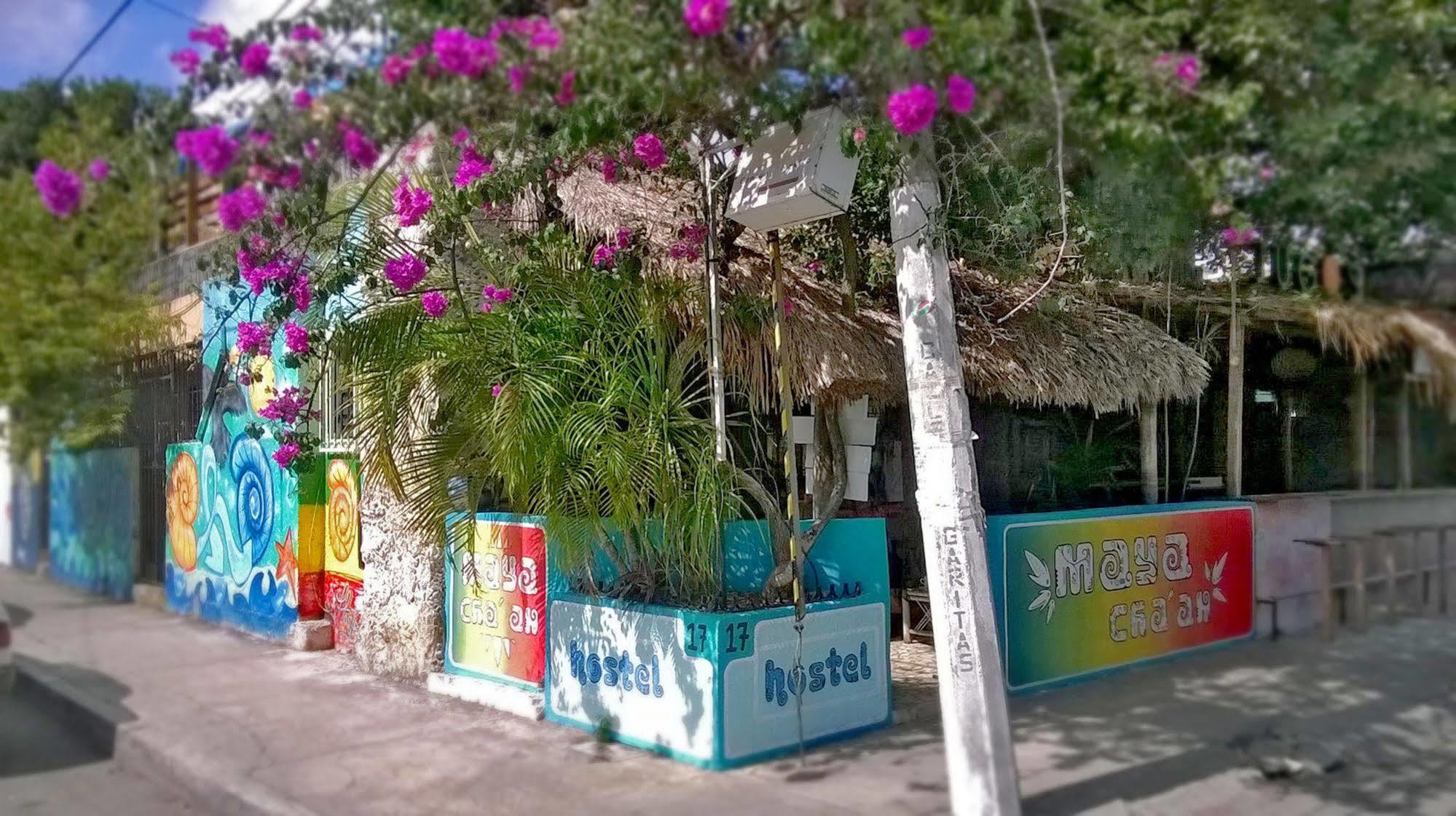 Mayan Hostel Cancun Luaran gambar